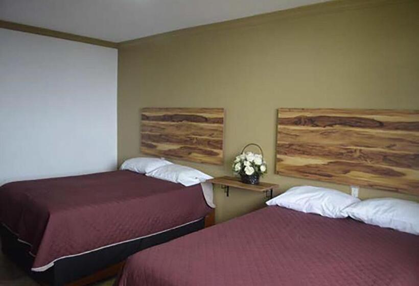 山景套房, Vista Markés