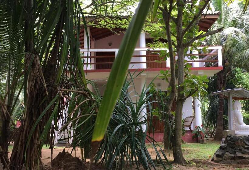 标准间带湖景, Hidden Garden Tangalle