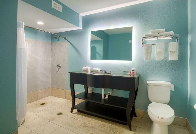 غرفة قياسية سرير كينج لذوى الإحتياجات الخاصة, Days Inn By Wyndham Mobile I65