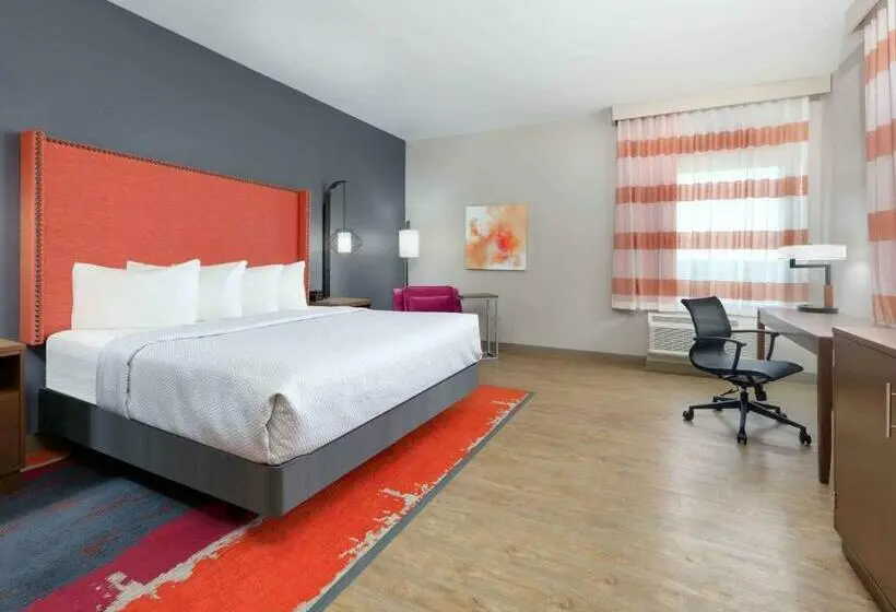 身障者適用キングサイズベッドルーム, La Quinta Inn & Suites By Wyndham Lakeway