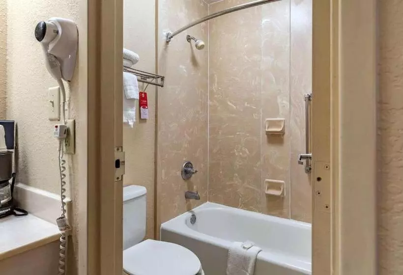 キングサイズベッドのスタンダードルーム, Econo Lodge