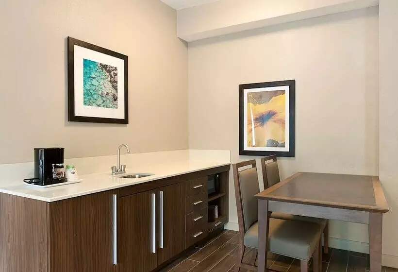 スイート, Hampton Inn & Suites Charlotte/pineville