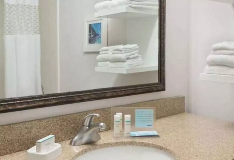 ２ダブルベッドのスタンダードルーム, Hampton Inn Atlantaperimeter Center