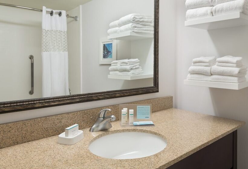 Номер Стандарт 2 Двуспальные Кровати, Hampton Inn Atlantaperimeter Center