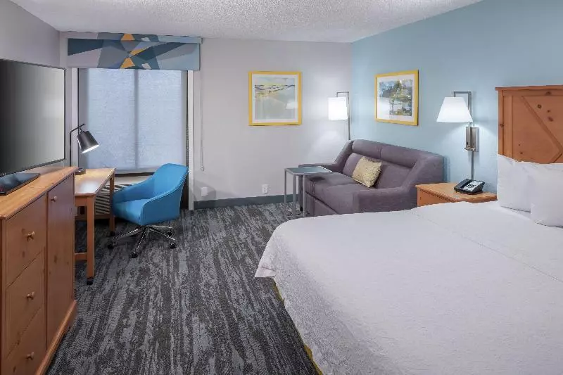استودیو استاندارد با تخت کینگ, Hampton Inn Austin Nw Near The Domain