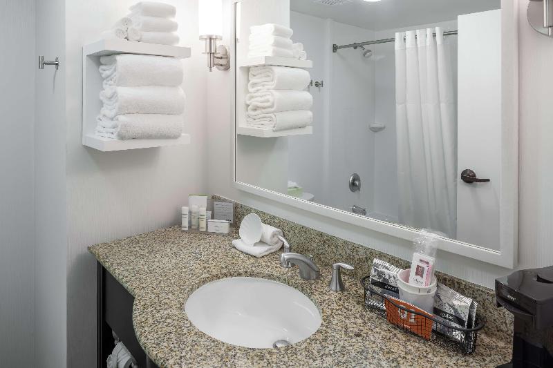 إستوديو قياسى سرير كينج, Hampton Inn Austin Nw Near The Domain