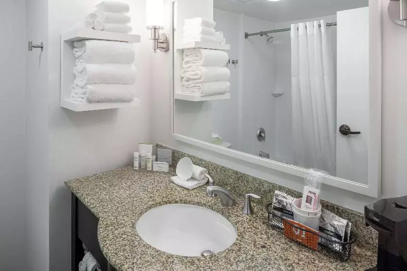 استودیو استاندارد با تخت کینگ, Hampton Inn Austin Nw Near The Domain