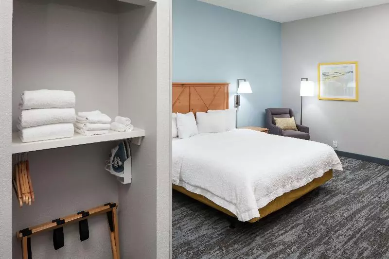 اتاق استاندارد با تخت بزرگ, Hampton Inn Austin Nw Near The Domain