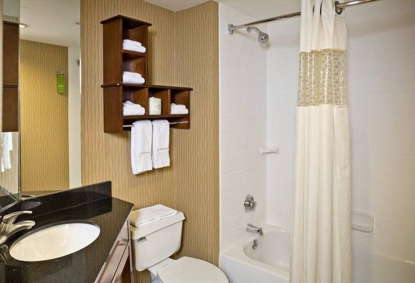 סוויטה, Hampton Inn Baltimore/white Marsh
