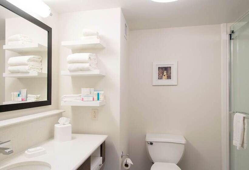 غرفة قياسية سرير كينج, Hampton Inn Columbus/taylorsville/edinburgh