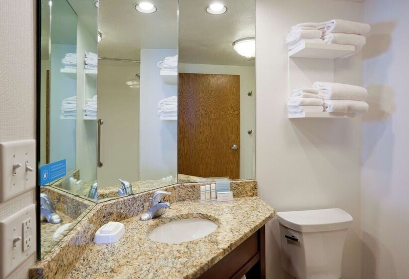２ダブルベッドのスタンダードルーム, Hampton Inn Duluth Canal Park