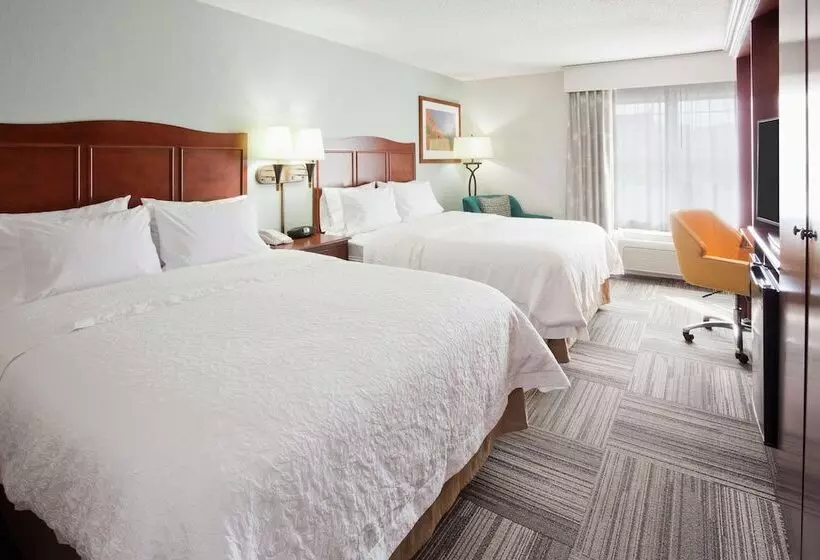 ２ダブルベッドのスタンダードルーム, Hampton Inn Duluth Canal Park