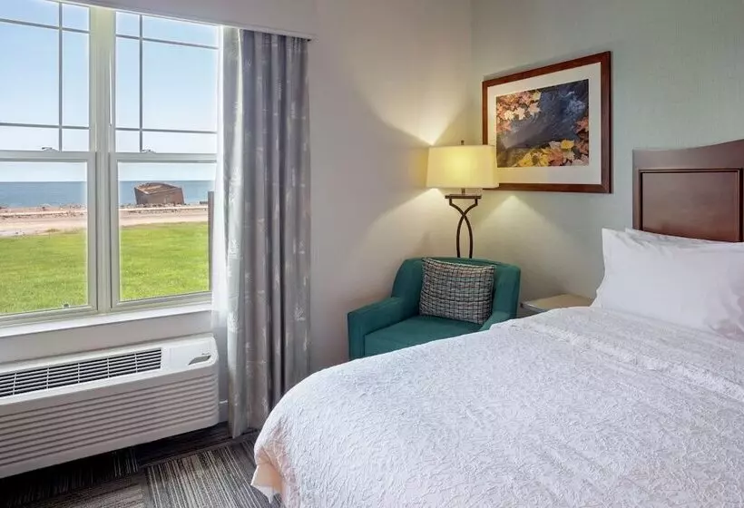 ２ダブルベッドのスタンダードルーム, Hampton Inn Duluth Canal Park
