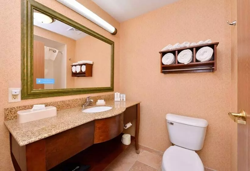 ２ダブルベッドのスタンダードルーム, Hampton Inn Elkhart In
