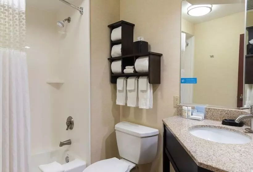 身障者適用スタンダードルーム, Hampton Inn Kent/akron Area