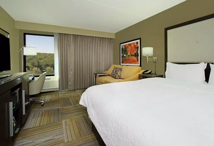 ダブルベッドのスタンダードスタジオ, Hampton Inn Philadelphia/great Valley/malvern