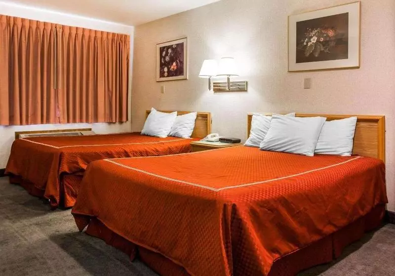 身障者適用キングサイズベッドルーム, Hampton Inn Phoenix/chandler