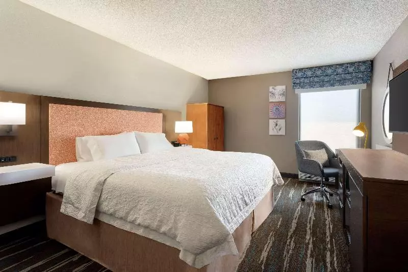 キングサイズベッドのスタンダードルーム, Hampton Inn Phoenix/chandler
