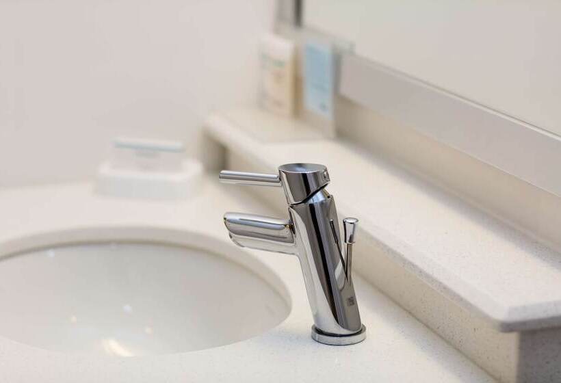 스탠다드 룸, Hampton Inn Rochester South