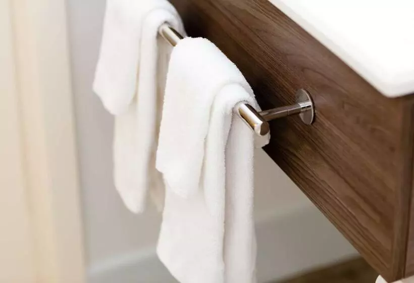 اتاق استاندارد, Hampton Inn Rochester South