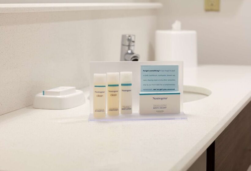 스탠다드 룸, Hampton Inn Rochester South