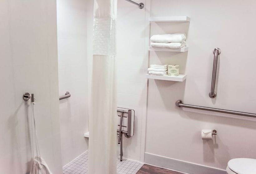 장애인을 위한 스탠다드 룸, Hampton Inn Rochester South