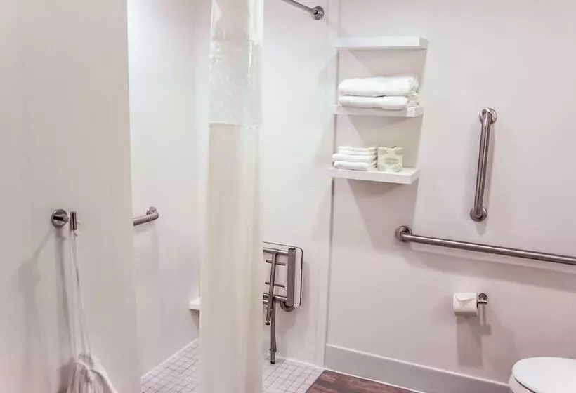 اتاق استاندارد برای معلولان, Hampton Inn Rochester South