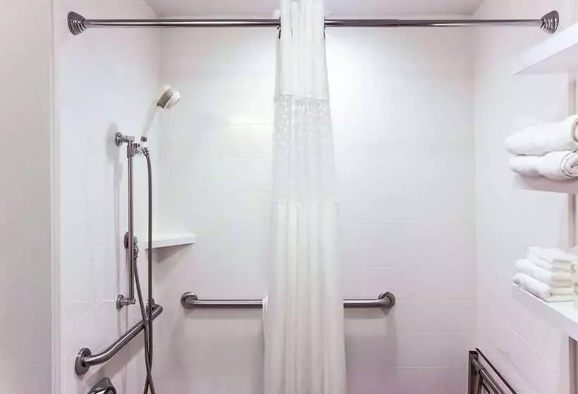 اتاق استاندارد برای معلولان, Hampton Inn Rochester South