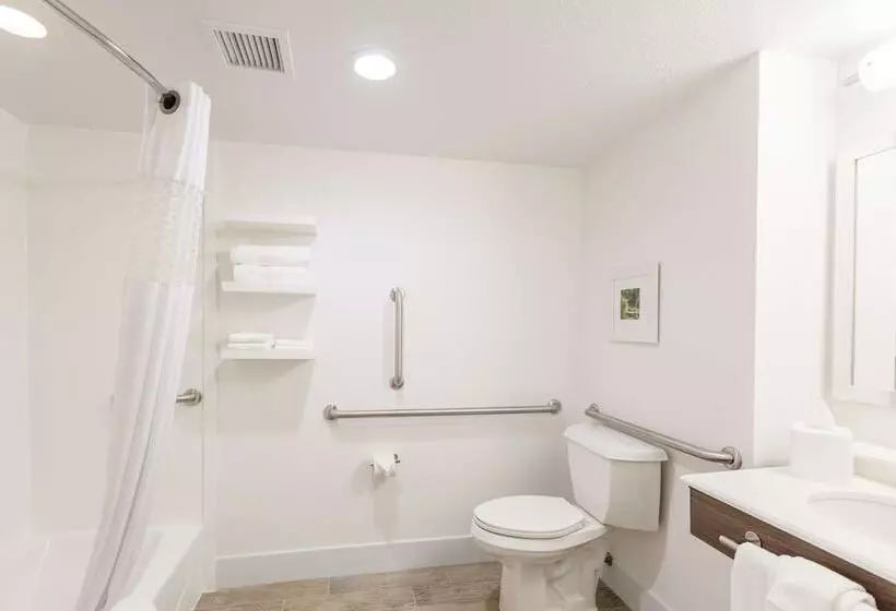 اتاق استاندارد برای معلولان, Hampton Inn Rochester South