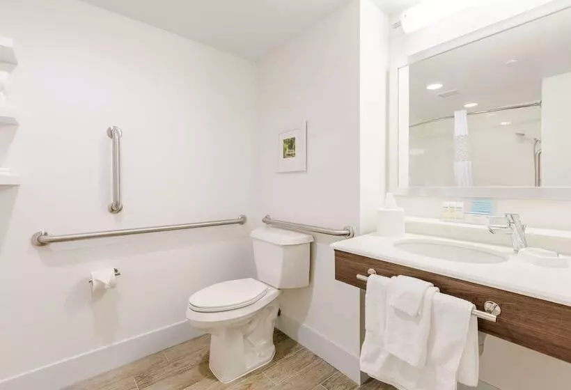 اتاق استاندارد برای معلولان, Hampton Inn Rochester South