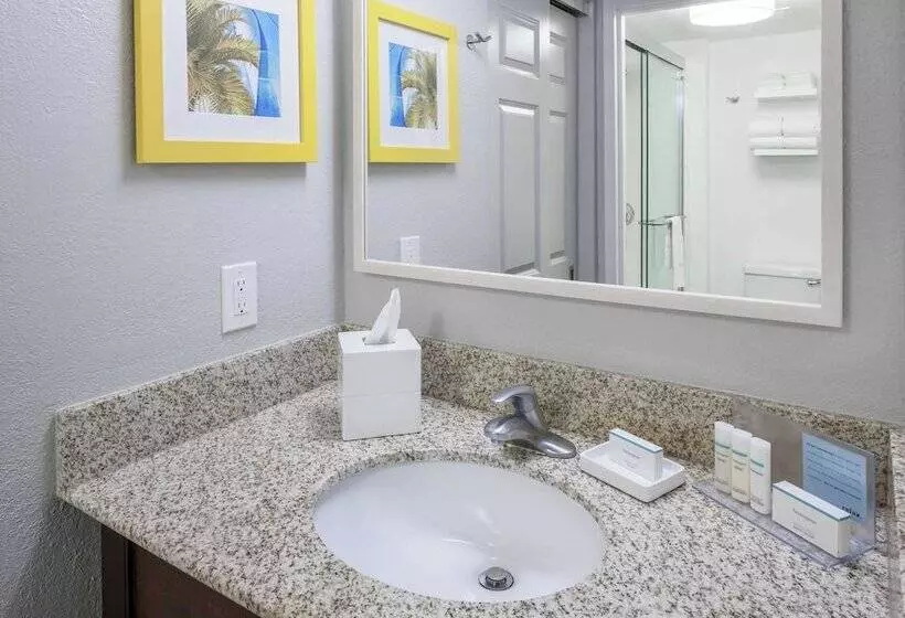 スイート, Hampton Inn & Suites By Hilton Miami Doral/dolphin Mall