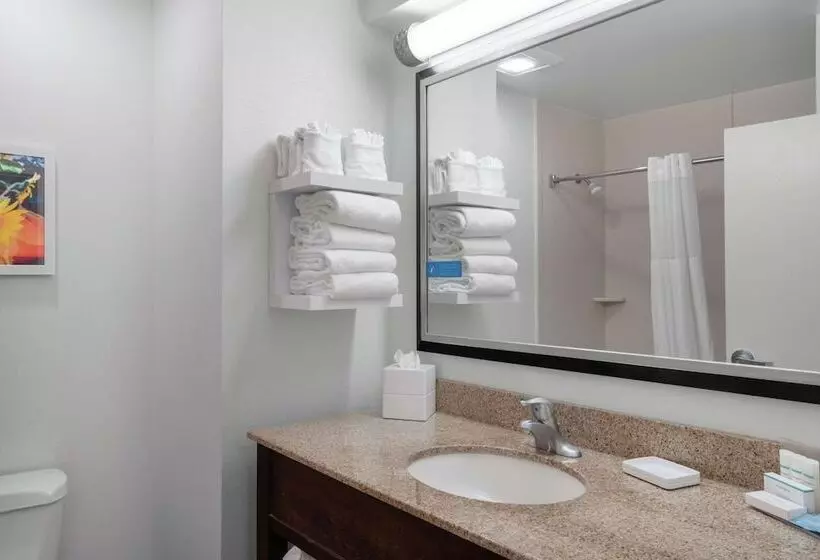 ２ダブルベッドのスタンダードルーム, Hampton Inn & Suites Nashville/franklin
