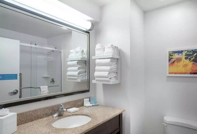ダブルベッドスタンダードルーム, Hampton Inn & Suites Nashville/franklin