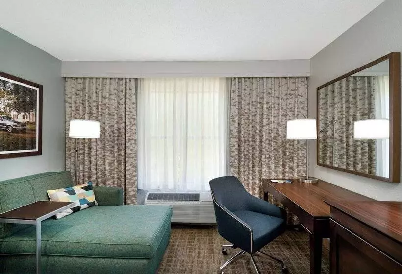 ダブルベッドスタンダードルーム, Hampton Inn & Suites Nashville/franklin