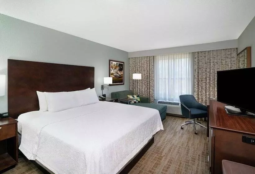 ダブルベッドスタンダードルーム, Hampton Inn & Suites Nashville/franklin