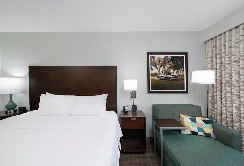 ダブルベッドスタンダードルーム, Hampton Inn & Suites Nashville/franklin
