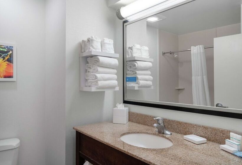 غرفة قياسية سرير مزدوج, Hampton Inn & Suites Nashville/franklin