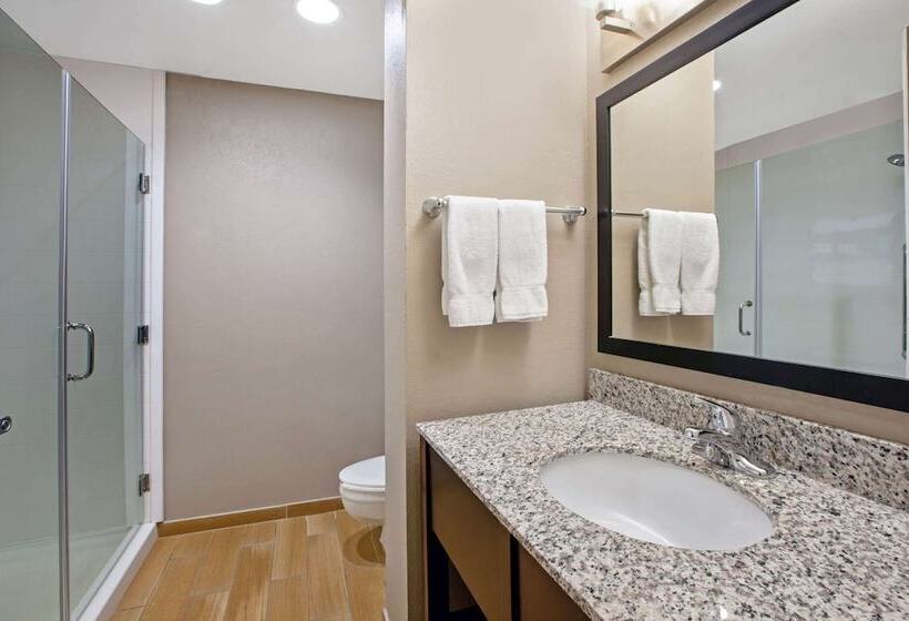 스위트, La Quinta Inn & Suites By Wyndham Detroit Metro Airport