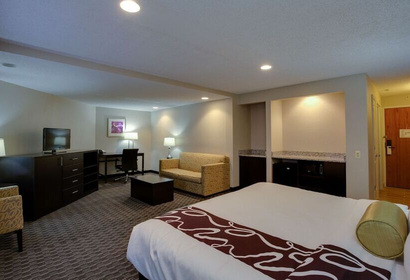 套房, La Quinta Inn & Suites By Wyndham Detroit Metro Airport