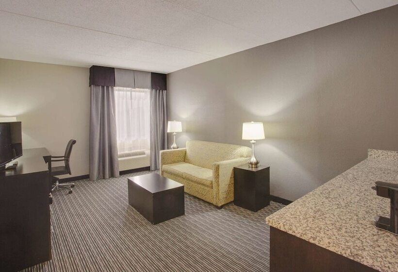 套房, La Quinta Inn & Suites By Wyndham Detroit Metro Airport