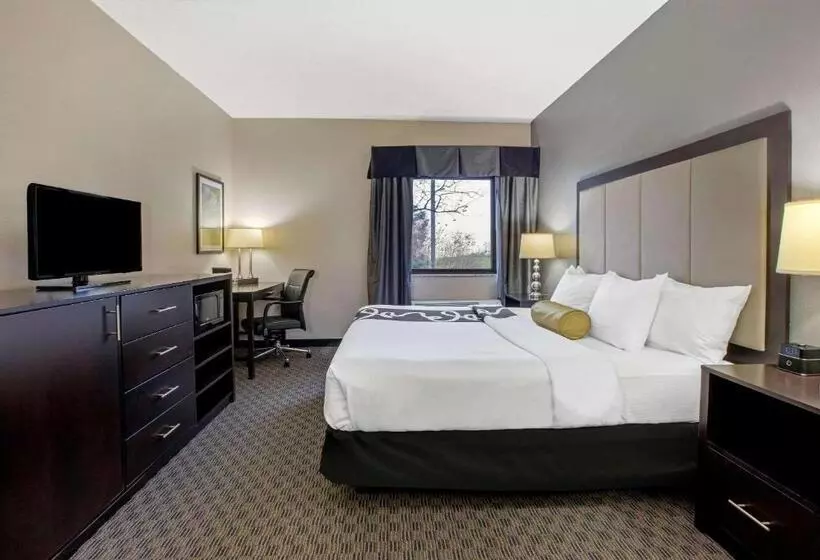 キングサイズベッドのスタンダードルーム, La Quinta Inn & Suites By Wyndham Detroit Metro Airport
