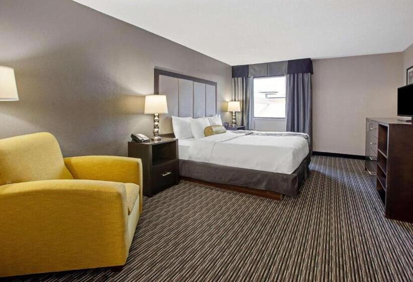 带大床的豪华间, La Quinta Inn & Suites By Wyndham Detroit Metro Airport