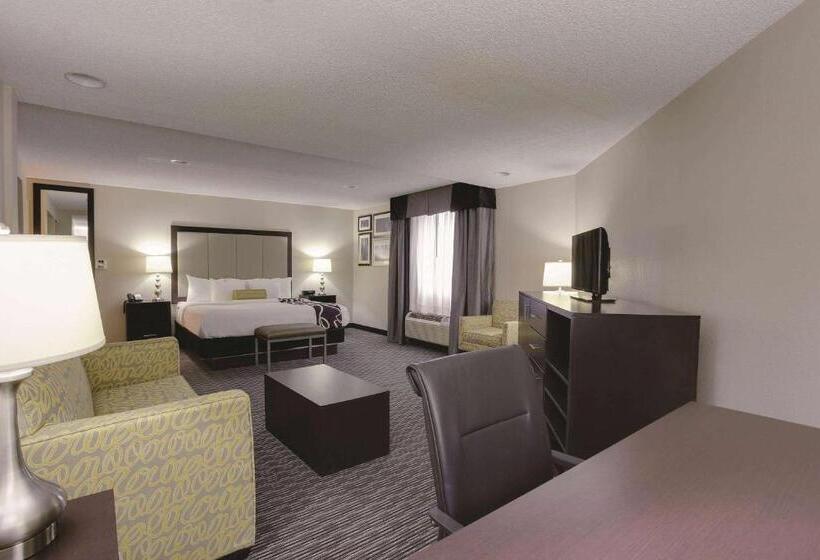 스탠다드 룸 킹사이즈 침대, La Quinta Inn & Suites By Wyndham Detroit Metro Airport