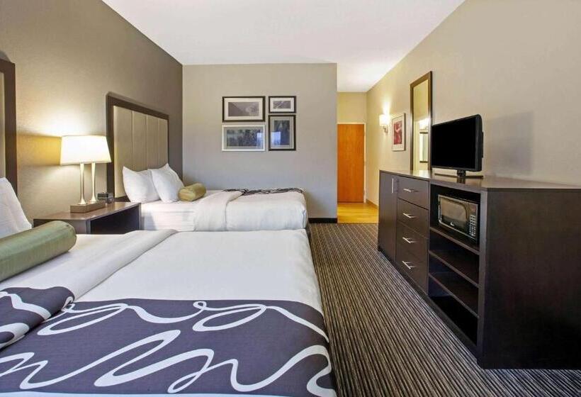 套房, La Quinta Inn & Suites By Wyndham Detroit Metro Airport