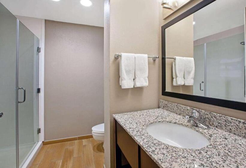 套房, La Quinta Inn & Suites By Wyndham Detroit Metro Airport