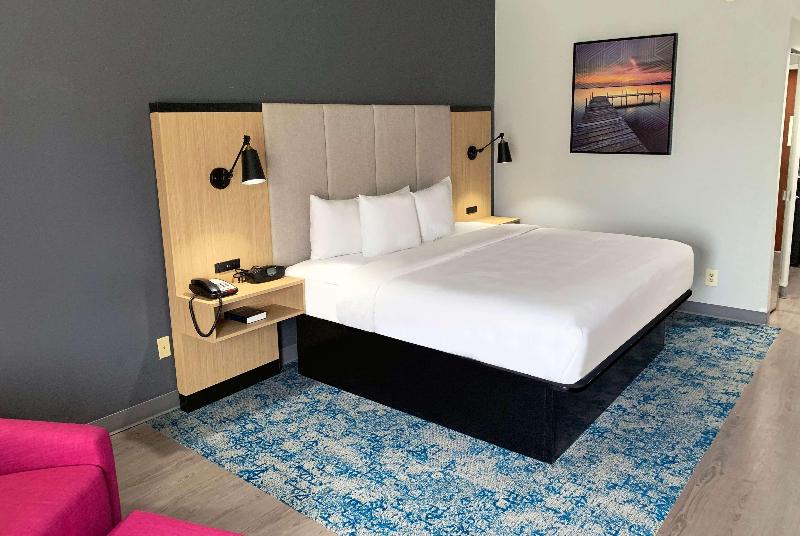 스탠다드 룸 킹사이즈 침대, La Quinta Inn & Suites By Wyndham Selma/smithfield I95