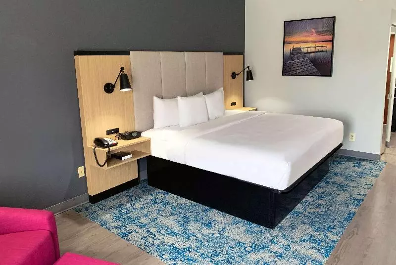 キングサイズベッドのスタンダードルーム, La Quinta Inn & Suites By Wyndham Selma/smithfield I95