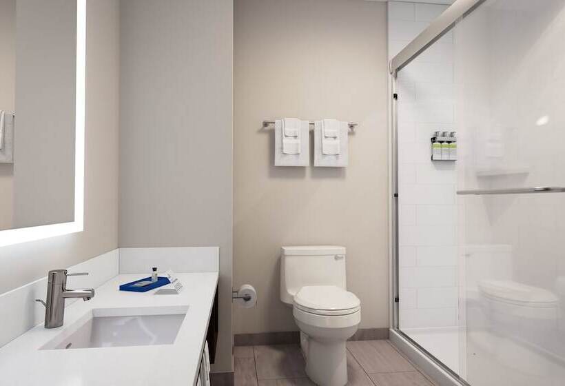 Люкс, Holiday Inn Express Fremont, An Ihg