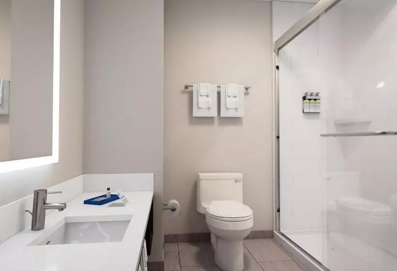 キングサイズベッドのスイートルーム, Holiday Inn Express Fremont, An Ihg
