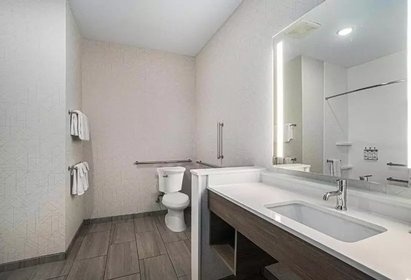 身障者適用キングサイズベッドルーム, Holiday Inn Express Fremont, An Ihg